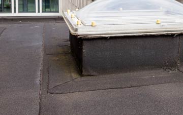 disadvantages of Blackleach flat roofs