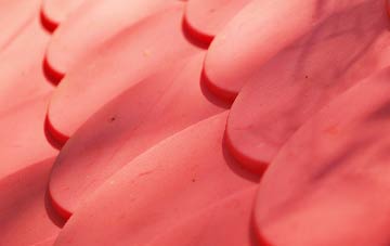 Blackleach plastic roof costs