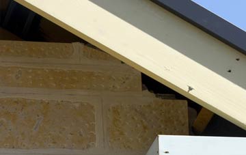 soffit repair Blackleach