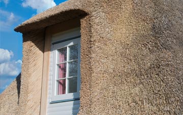 Blackleach thatch roof disadvantages