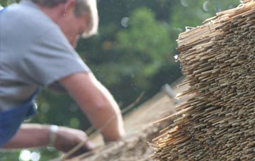 professional Blackleach thatchers